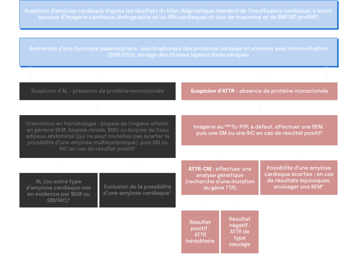 Diagnostic de l'ATTR-CM
