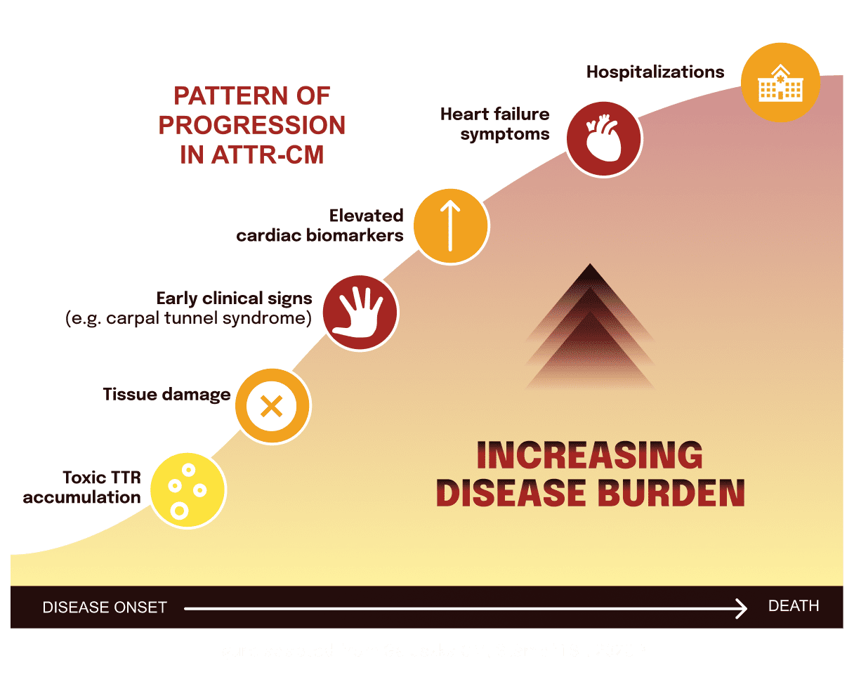 Pattern of Progression in ATTR CM
