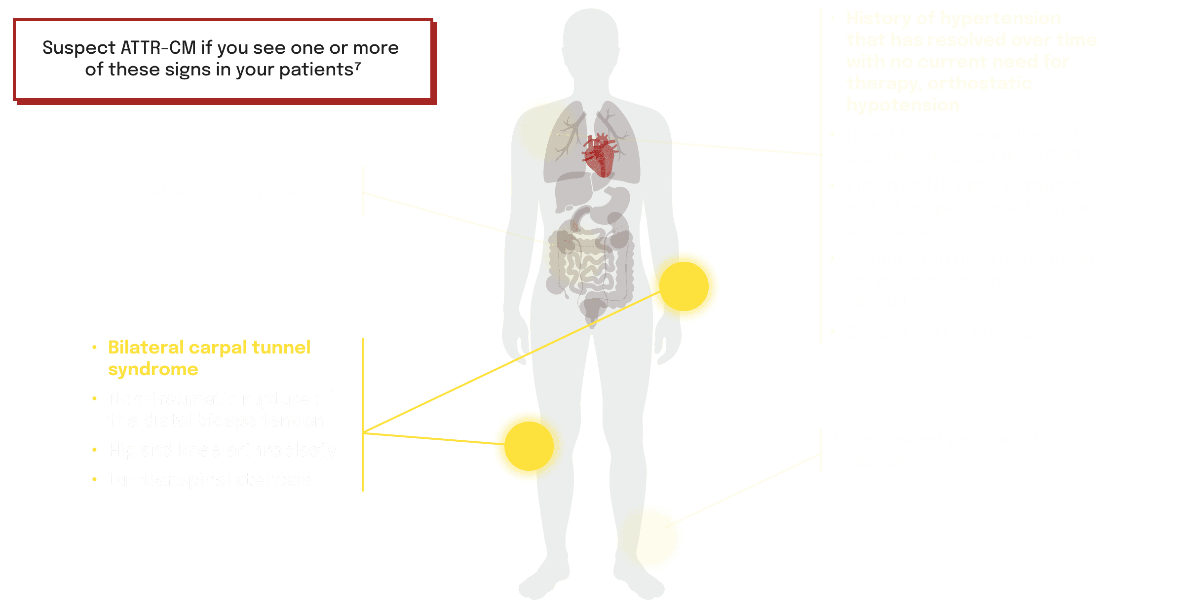 tab-2-desktop-Musculoskeletal