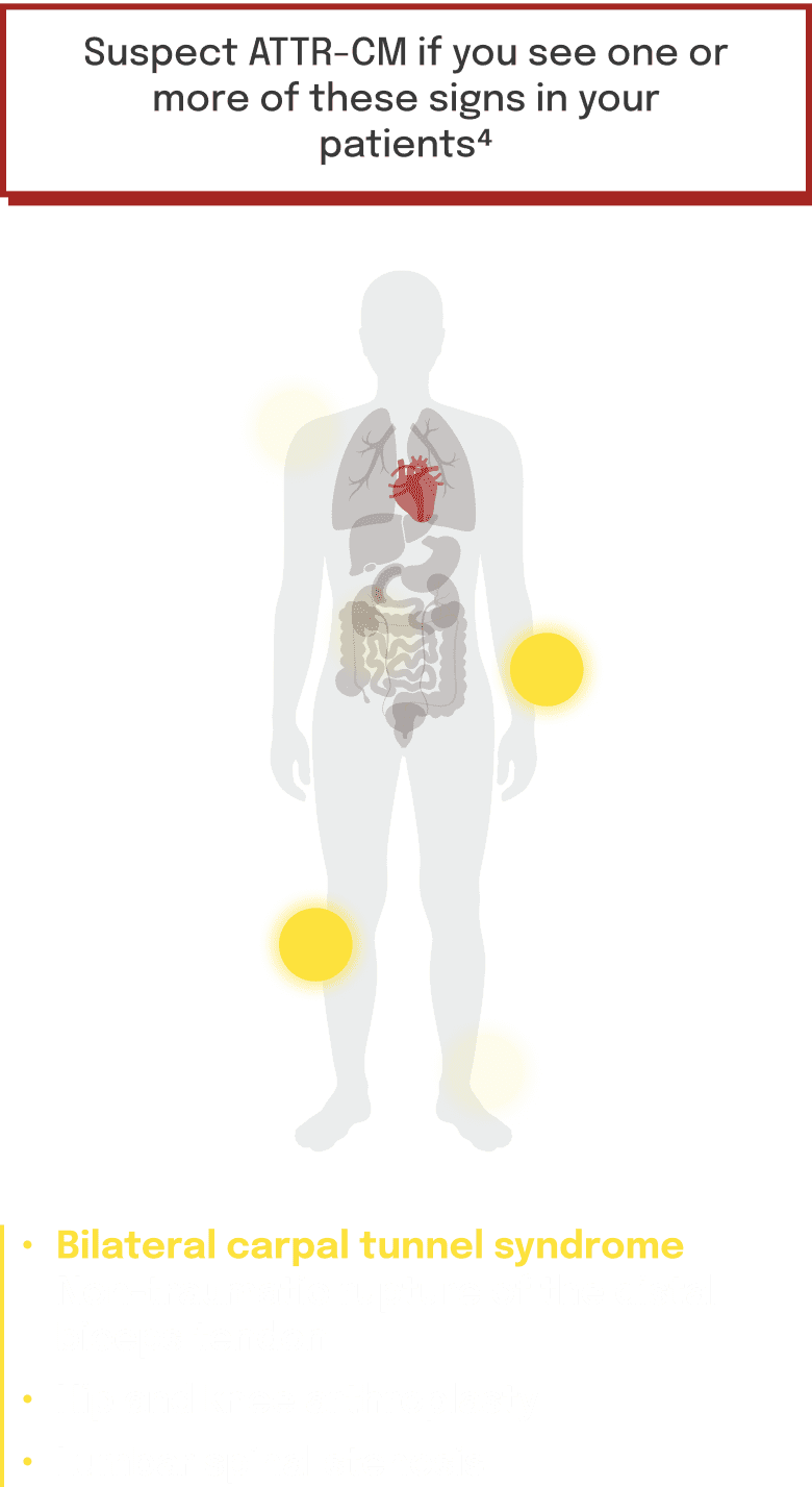 tab-2-mob-Musculoskeletal