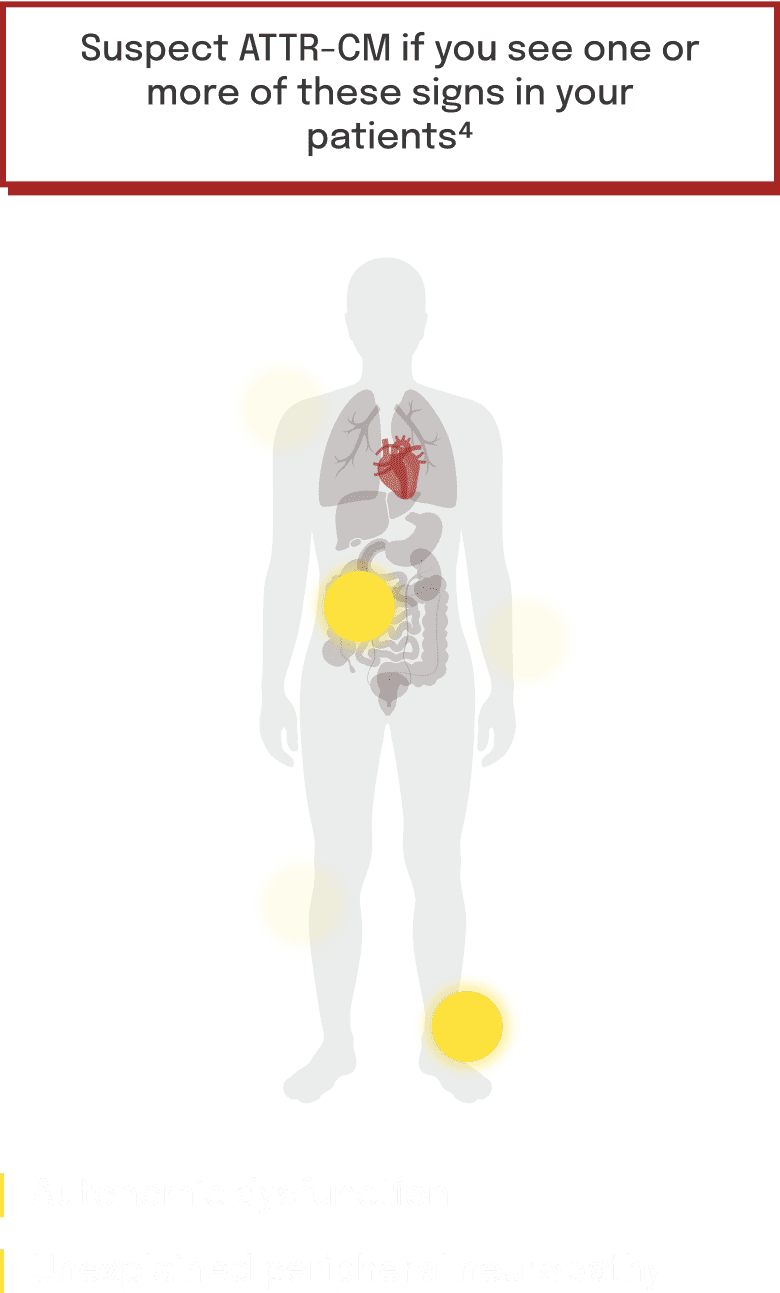 tab-3-mob-Neurologic
